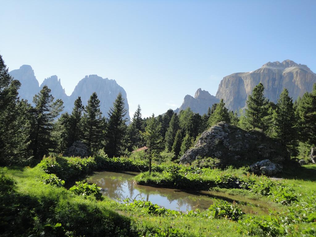 Sella Ronda Apartment Campitello di Fassa Ngoại thất bức ảnh